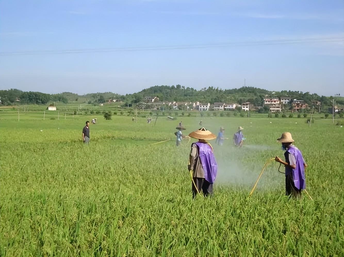 電催化氧化技術在農(nóng)藥廢水處理中的應用.jpg